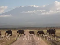 A + M Africa Tours GmbH