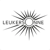 Leukersonne Damian Seewer AG-Logo