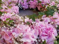 Blumengeschäft Löwenzahn