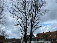 Liegenschaftenservice Hans Müller GmbH - Klicken Sie, um das Bild 11 in einer Lightbox vergrössert darzustellen