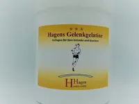 Hagen Handels GmbH