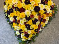 Blumen Petermann