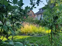 Bärtschi Gartenbau AG