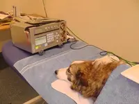 INDIKA-animalreha SA