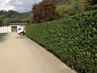 Biava Mattia - Giardiniere paesaggista