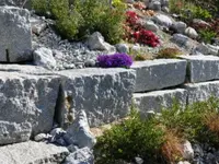 Brechbühl Fleurs