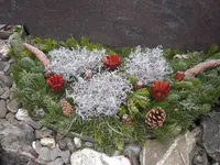 hollenstein blumengarten ag, Blumenshop, Gärtnerei, Gartenbau