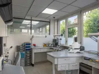 Dr. med. dent. Hofstetter Flavio
