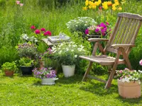 Schömann Gartenbau GmbH - Klicken Sie, um das Bild 1 in einer Lightbox vergrössert darzustellen