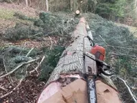 Travaux forestiers / Entretien privé - Klicken Sie, um das Bild 3 in einer Lightbox vergrössert darzustellen