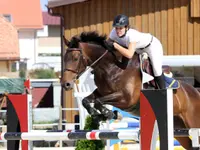 Manège de la Sallivaz & Poney club - Klicken Sie, um das Bild 3 in einer Lightbox vergrössert darzustellen