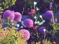Villiger Arnosti Gartenbau AG