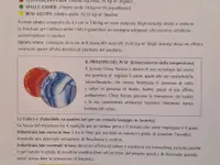 FF AL BUON COMMERCIO SAGL