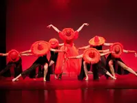 Verein TDC dance company & school