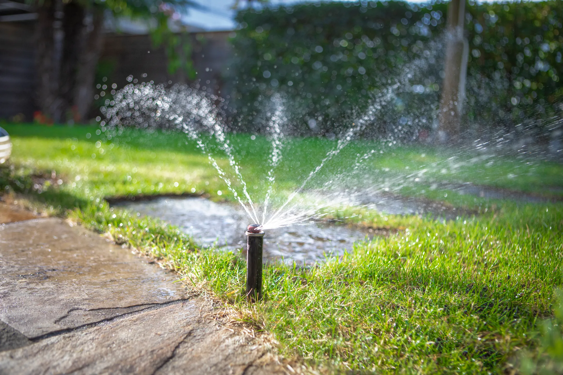 Hydro-Tech Bewässerungssysteme GmbH