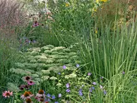 Dubach Gartenbau und Pflege GmbH