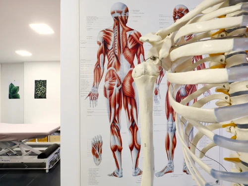 Physiotherapie TRAINIERBAR – cliquer pour agrandir l’image panoramique