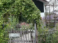 Gartenbau Steinmann - Klicken Sie, um das Bild 2 in einer Lightbox vergrössert darzustellen