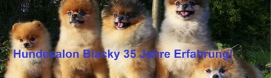 Hundesalon Blacky Lotti