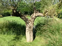 Royal Jardin sarl