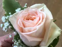 Blumengeschäft riedland.ch