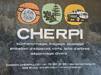 Cherpi - Damien Cherpillod