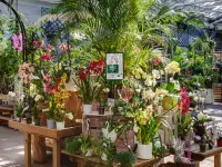 Burnier Garden Centre de Lavaux