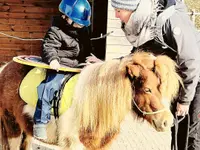 Le Crin d'Herbe -Equithérapie Enfants & Adolescents