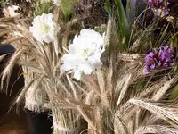 Hertig Fleurs