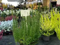 Au Jardin Blumen GmbH