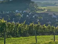 Gemeindeverwaltung /AHV-Zweigstelle / Steueramt