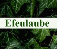 Blumengeschäft Efeulaube-Logo