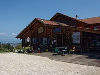 Weinbau Leuengrund - Schneider Weine