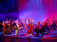 Verein TDC dance company & school