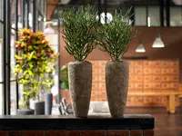 Widler Gartenbau + Floristik AG