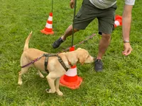 4happypets.ch, Inhaberin Schön