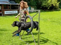 Hundeschule DOGS4LIFE.CH - Klicken Sie, um das Bild 1 in einer Lightbox vergrössert darzustellen