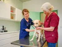 Tierklinik Rossweid - Klicken Sie, um das Bild 11 in einer Lightbox vergrössert darzustellen