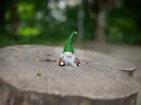 Kita Waldi Münsingen