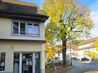 Coiffeur fine arts