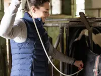 Tierarztpraxis Dammbühl AG