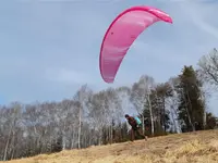 PINK BARON SA - Klicken Sie, um das Bild 1 in einer Lightbox vergrössert darzustellen