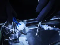 Mario Piercing Experience l Next 2 Tattoo