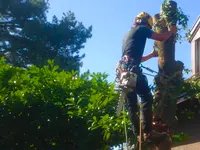 EQUILIBRE SOINS AUX ARBRES