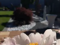 César Da Costa Gartenbau GmbH