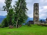 SUN RANCH Organisation