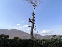 Carlo Bagutti Giardiniere - Klicken Sie, um das Bild 8 in einer Lightbox vergrössert darzustellen