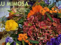 AU MIMOSA