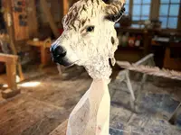 Rieder Holz und Kunst