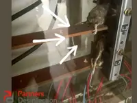 Partners Desinfection | Votre spécialiste en Nuisibles